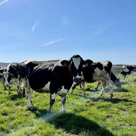 Chambre A La Ferme Precy-le-Sec ภายนอก รูปภาพ