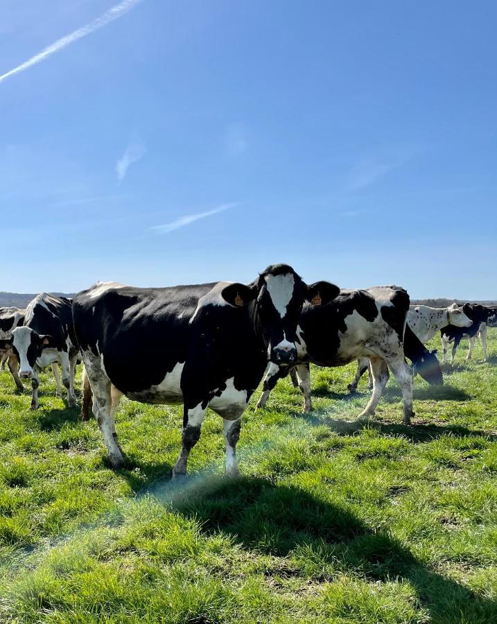 Chambre A La Ferme Precy-le-Sec ภายนอก รูปภาพ